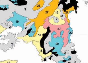 Χάρτης των εδαφικών ενοτήτων στην περιοχή του Λεκανοπεδίου. Τα χρώματα αντιστοιχούν στον κυρίαρχο τύπο εδάφους: Μαύρο: βράχοι Γκρίζο: Leptosols Μπεζ: Regosols Κιτρινο-πορτοκαλί: Cambisols Ροζ: Luvisols Γαλάζιο: Fluvisols Απόσπασμα από: Χάρτης Εδαφικών Ενώσεων της Ελλάδος 1: 850000 (Συντάκτης: Νίκος Γιασόγλου).