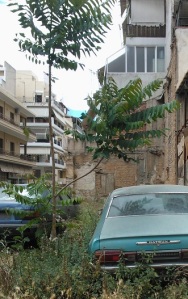 Εγκαταλελειμμένο οικόπεδο στα Πετράλωνα με παρατημένα αυτοκίνητα. Γύρω από το αυτοκίνητο στα δεξιά ευδοκιμεί το περδικάκι, ενώ ανάμεσα στα δύο αυτοκινητα έχει φυτρώσει μια βρωμοκαρυδιά.